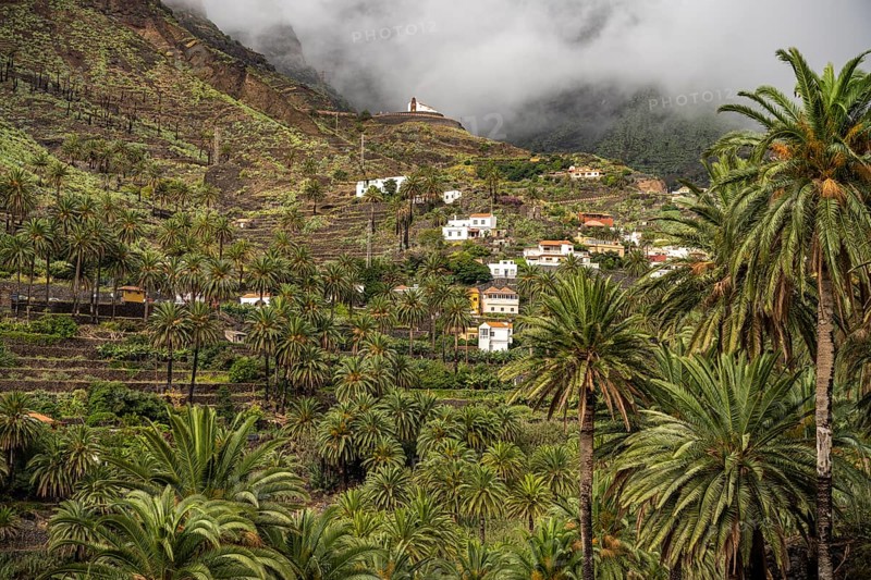 Cultural landscape with palm trees in Valle Gran Rey, La Gomera, Canary Islands, Spain, Europe