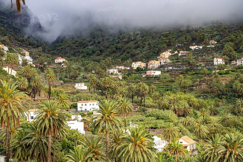 Cultural landscape with palm trees in Valle Gran Rey, La Gomera, Canary Islands, Spain, Europe