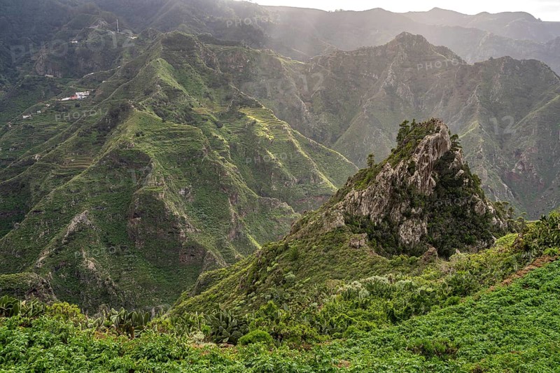 Landscape along the hiking trail from Punta del Hidalgo to Chinamada, Tenerife, Canary Islands, Spain, Europe