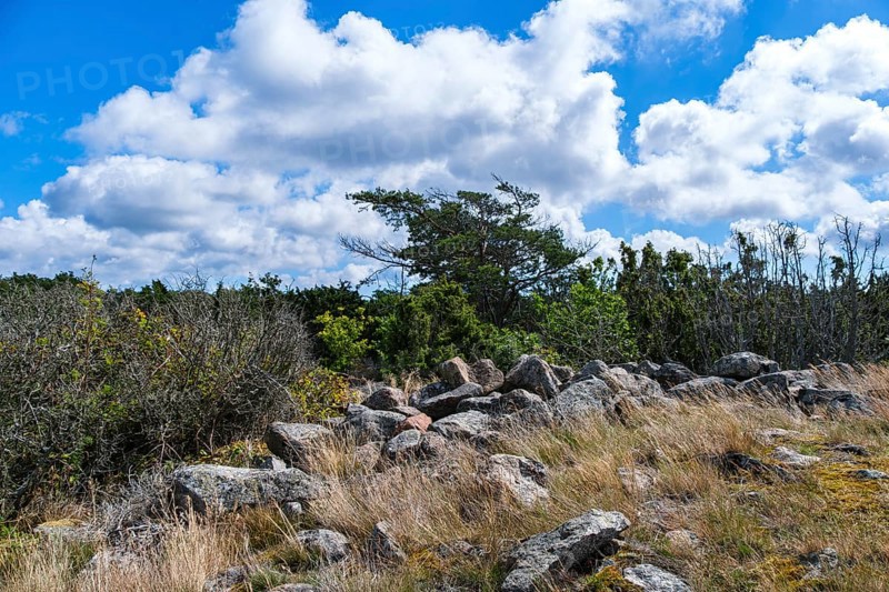 Pristine vegetation and landscape in the Hallarumsviken nature reserve near Karlskrona, Blekinge län, Sweden, Europe
