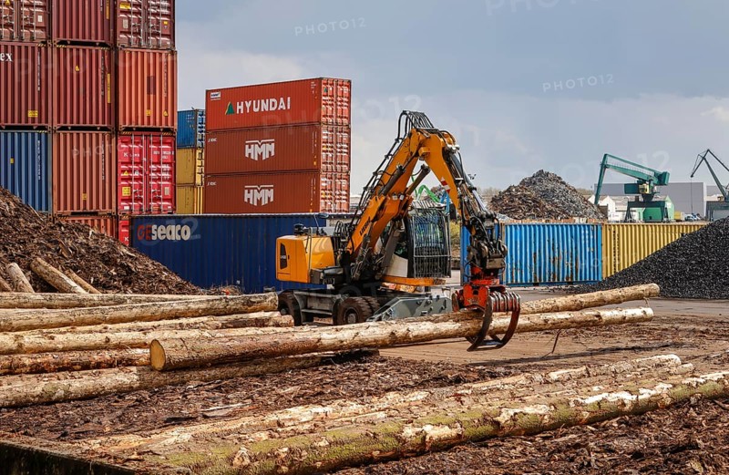 Cologne, North Rhine-Westphalia, Germany - Port of Cologne Niehl, logs are loaded into containers for export, container warehouse at the container terminal