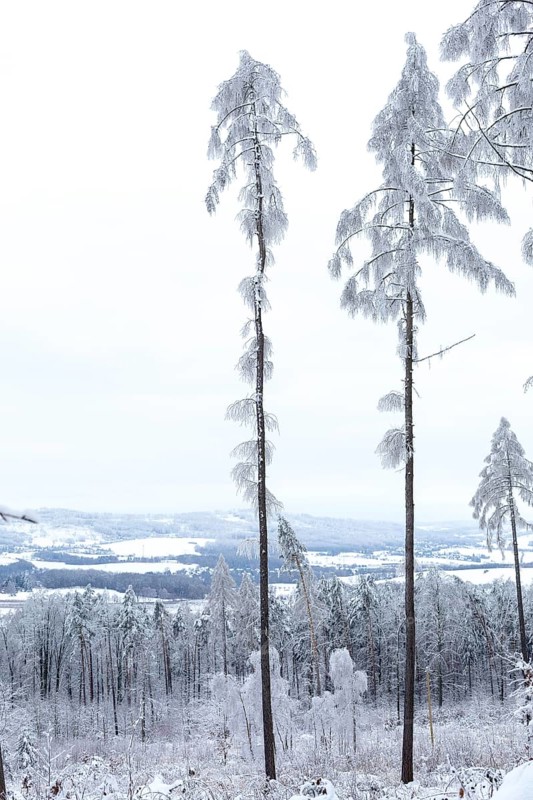 View from Czorneboh of Cunewalde and the Lusatian Mountains in winter, Upper Lusatia, Saxony, Germany, Europe