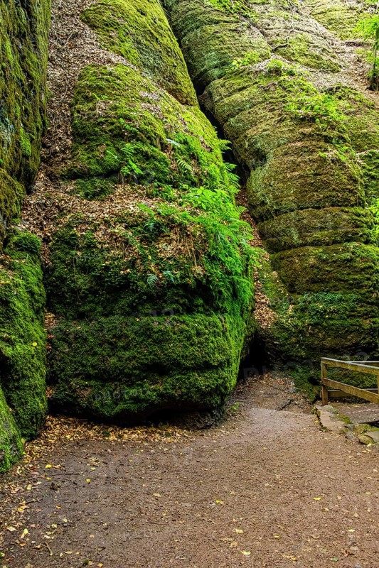 The Dragon Gorge, a gorge and geological natural monument and nature reserve in the Marienschlucht gorge near Eisenach, Thuringia, Thuringia Forest, Germany, Europe
