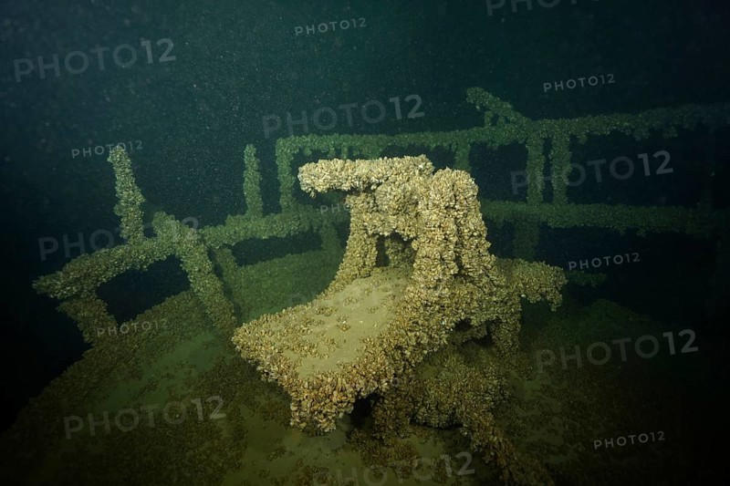 An old steering position of a shipwreck, with mussels, quagga triangle mussel (Dreissena rostriformis bugensis), invasive species, covered, in a calm environment, dive site wreck of the Jura, Lake Constance, Bottighofen, Switzerland, Münsterlingen, Germany, Europe