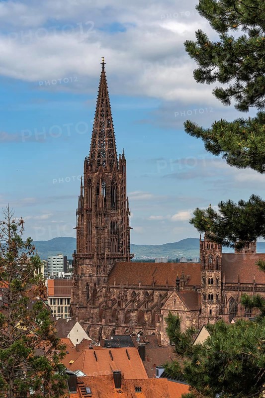 City of Freiburg im Breisgau, Church, Freiburg Minster, Germany, Europe