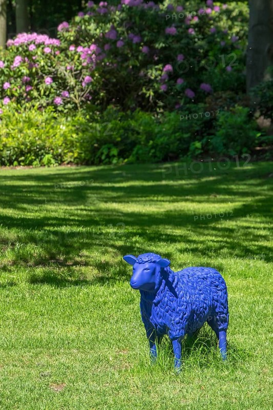 Blue sheep in a meadow, State Garden Show, Bad Lippspringe, North Rhine-Westphalia, Germany, Europe