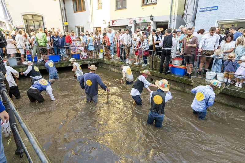 Fishing out the town stream, fishing day in Memmingen, Unterallgäu, Allgäu, Bavaria, Germany, Europe