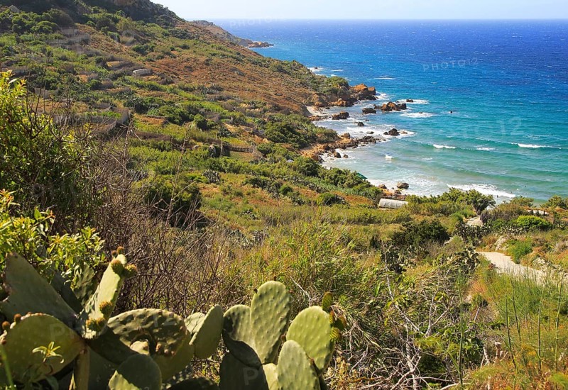 Coastal scenery San Blas bay, island of Gozo, Malta, Europe