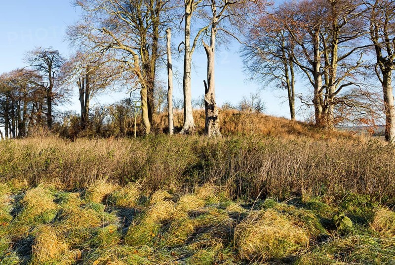 Neolithic long barrow in chalk downland countryside near East Kennett, Wiltshire, England, UK