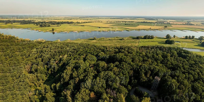 Aerial view of viewpoint Höhbeck near Elbe river, wooden tower south of village Lenzen, Germany, Europe
