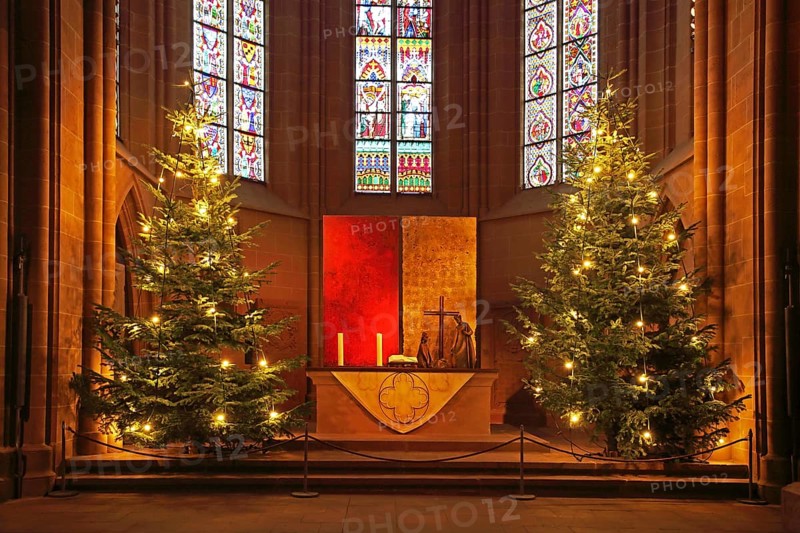 Chancel with two Christmas trees, altar, Christmas decorations, Christmas time, interior view, lighting, lights, candles, Katharinenkirche, Oppenheim, Rhine-Hesse region, Rhineland-Palatinate, Germany, Europe