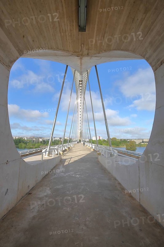 Modern construction of the bridge Puente Lusitanos built in 1992 over the river Rio Guadiana, detail, view, perspective, pylon, strut, Badajoz, Extremadura, Spain, Europe