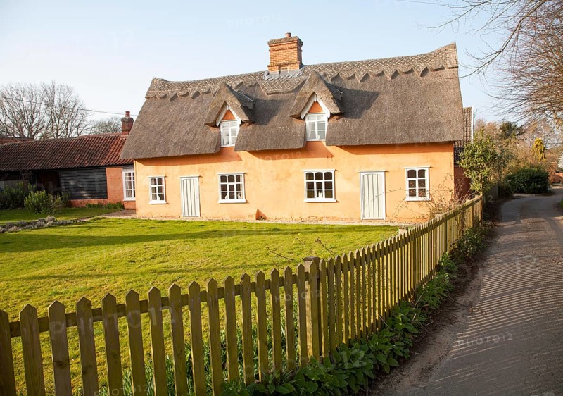 Pretty ochre coloured historic thatched cottage in the village of Ufford, Suffolk, England, United Kingdom, Europe