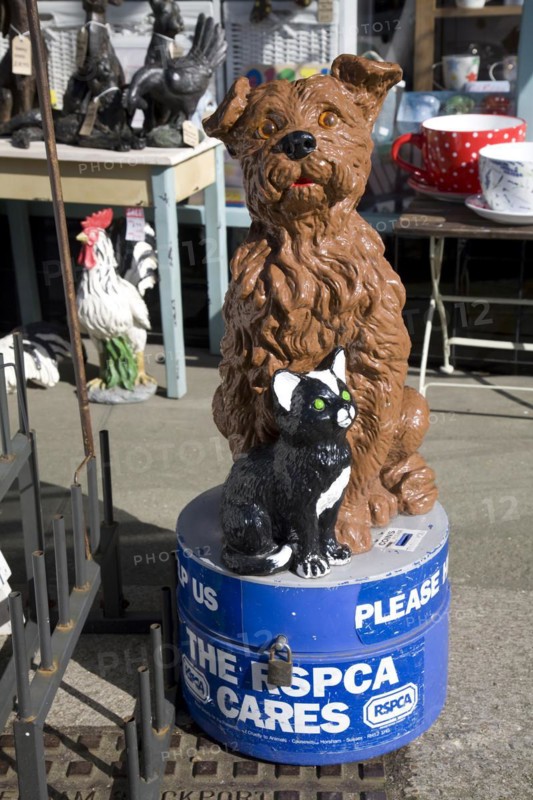 RSPCA dog and cat collection box, Aldeburgh, Suffolk, England, UK