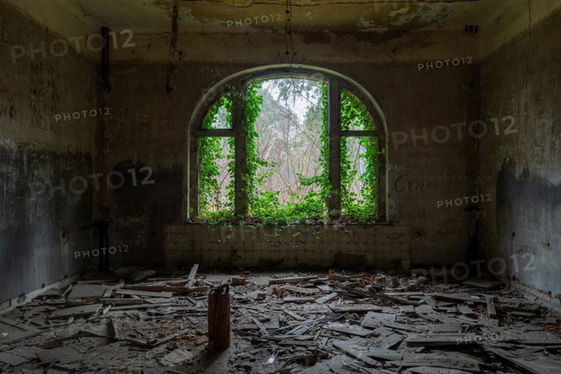 Broken window with green climbing plant, Beelitz-Heilstätten, former lung sanatorium, from 1945 to 1994 military hospital of the Soviet army, today Lost Place, Beelitz, Brandenburg, Germany, Europe