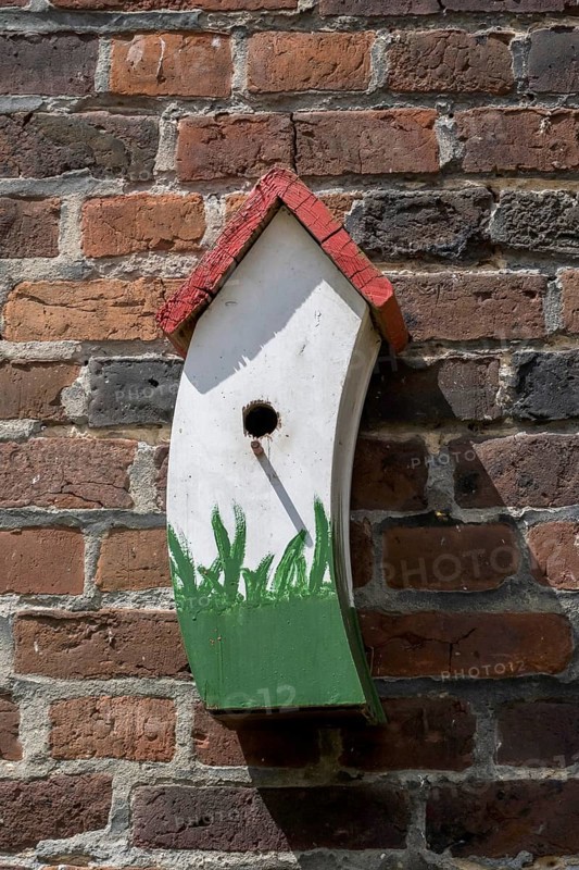 A colourful birdhouse with a plant motif on a brick wall in the sunlight, Münsterland, North Rhine-Westphalia, Germany, Europe