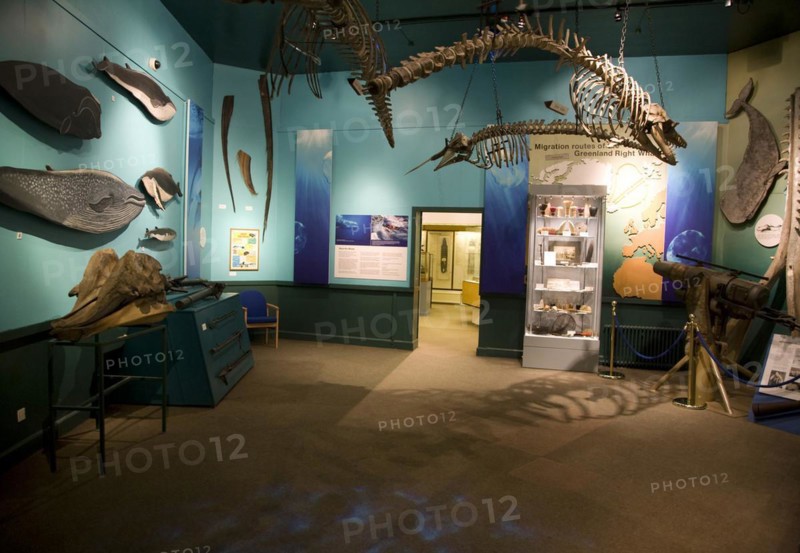 Inside the Maritime museum, Hull, Yorkshire, England, United Kingdom, Europe