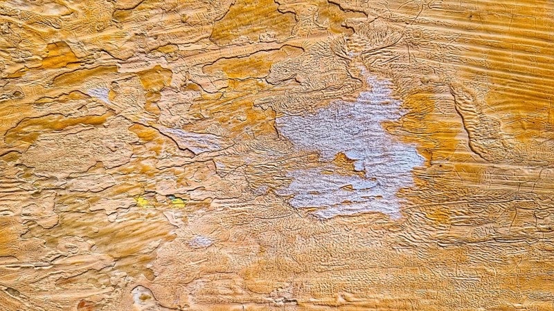 Background, old paint, texture, wood, yellow, uneven surface, mobile photo, wallpaper