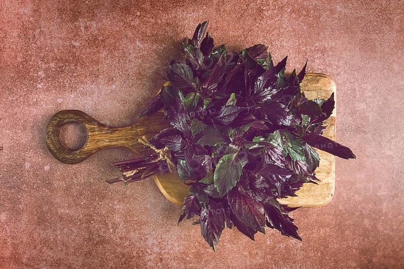 Fresh bouquet of purple basil, top view, on a brown background