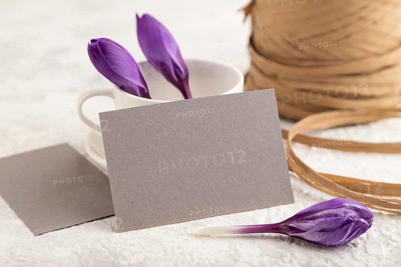 Gray paper invitation card, mockup with purple crocus snowdrop flowers on gray concrete background. Blank, side view, still life, copy space, wedding invitation