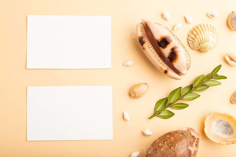 Composition of white paper business cards, seashells, green boxwood. mockup on orange background. Blank, top view, still life, flat lay, copy space. travel concept