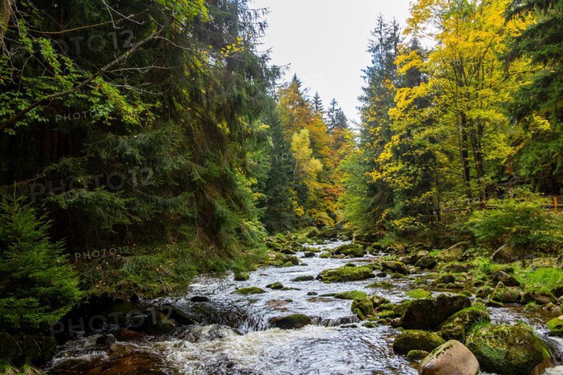 Kochel, river in the Giant Mountains, Poland, Europe