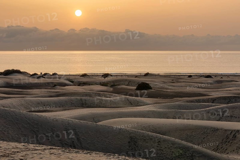 Dunes of Maspalomas, Maspalomas, Gran Canaria, Canary Islands, Spain, Maspalomas, Gran Canaria, Canary Islands, Spain, Europe