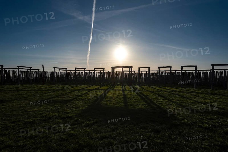 Afternoon sun shining on Pömmelte ring sanctuary, prehistoric circular ditch complex, Pömmelte, Zackmünde, Saxony-Anhalt, Germany, Europe