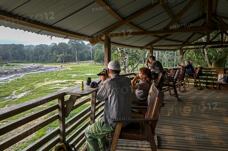 Tourists observe forest elephants (Loxodonta cyclotis) in the Dzanga Bai forest clearing, Dzanga-Ndoki National Park, Unesco World Heritage Site, Dzanga-Sangha Complex of Protected Areas (DSPAC), Sangha-Mbaéré Prefecture, Central African Republic, Africa