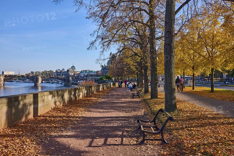 Footpath, Elbe, river, trees, light-flooded autumn foliage, wall, Augustus Bridge, pedestrians as accessories, terraced bank, Dresden, state capital, independent city, Saxony, Germany, Europe