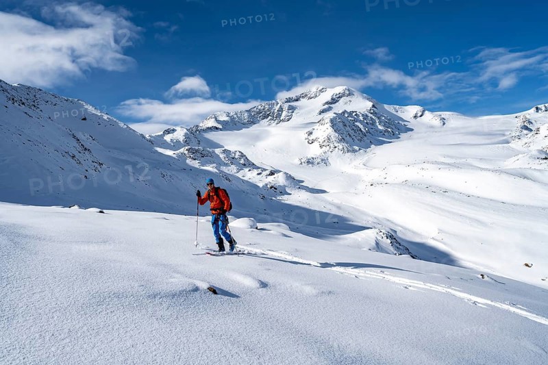 Ski tourers in a snow-covered mountain landscape, mountain peak Monte Cevedale and glacier Zufallferner, ascent to the summit Köllkuppe or Cima Marmota, Ortler Alps, Vinschgau Valley, Italy, Europe