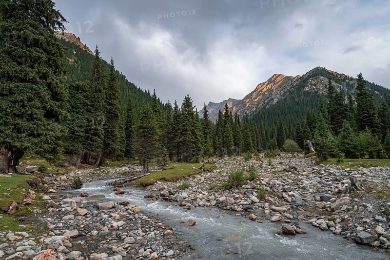 Green mountain valley with forest and mountain stream, Chong Kyzyl Suu Valley, Terskey Ala Too, Tien-Shan Mountains, Kyrgyzstan, Asia
