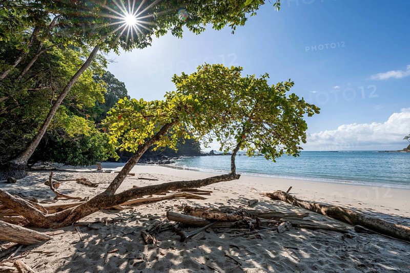 Idyllic tropical sandy beach, Playa Escondida, Sun Star, Manuel Antonio National Park, Puntarenas district, Costa Rica, Central America