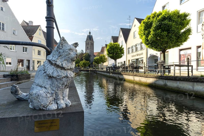 Bronze sculpture by Cornelia Brader: City tomcat Chicco at the city stream, behind it Our Lady's Church, Memmingen, Allgäu, Bavaria, Germany, Europe