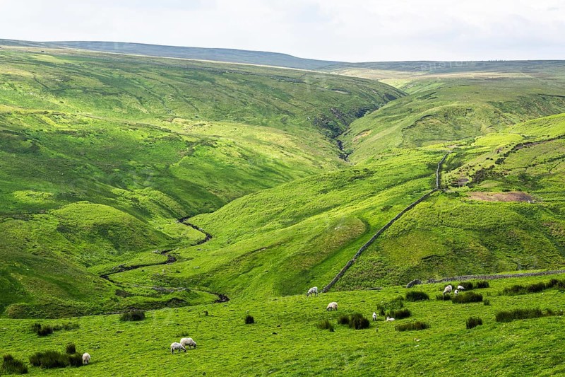 Farms over North Pennines, Cumbria, Durham, Northumberland, North Yorkshire, England, United Kingdom, Europe