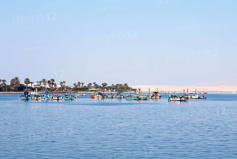 Colourful fishing boats in the bay of Paracas, Reserva Nacional de Paracas, Ica region, Pisco province, Peru, South America