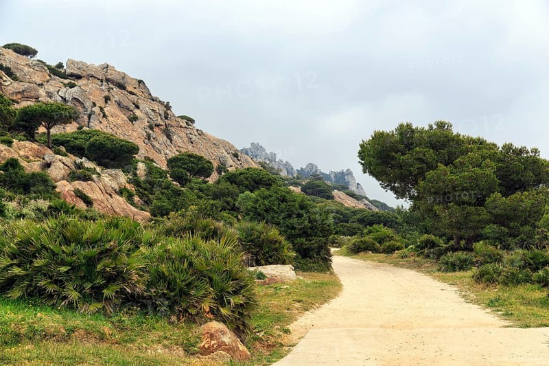 Hiking trail in the nature park, Parque Natural del Estrecho, Strait of Gibraltar, Costa de la Luz, Andalusia, Spain, Europe