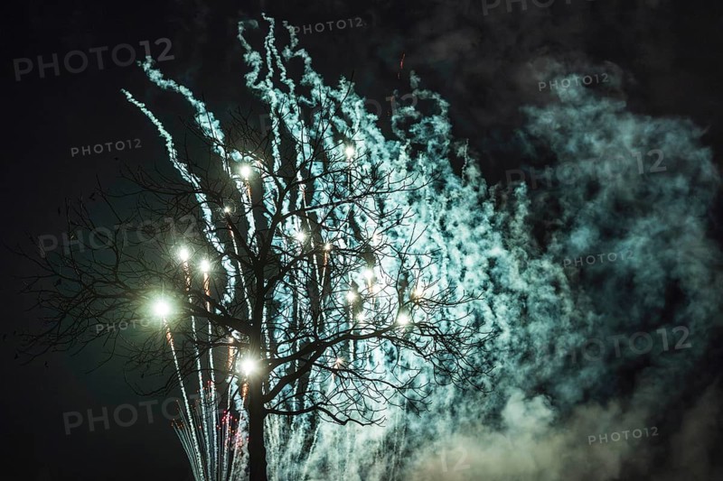Tree fireworks