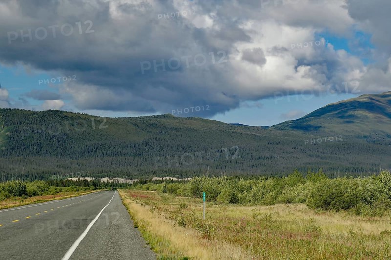 Endless road, with single motorhome, forest, wilderness, Alaska Highway, Yukon Territory, Canada, North America