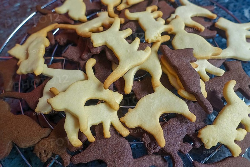 Swabian cuisine, Swabian Christmas biscuits, Ausstecherle, shortbread biscuits, black cat figures with cocoa, typical Swabian, baking, Christmas biscuits, sweet biscuits, Gutsle, Bredle, baked goods, from the oven, cooling rack, cake rack, traditional cuisine, food photography, studio, Germany, Europe