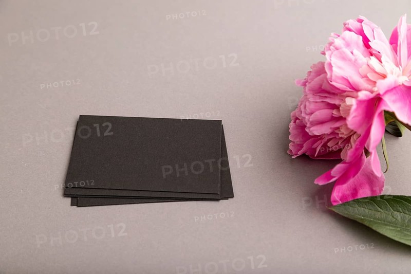 Black business card with pink peony flowers on gray pastel background. side view, copy space, still life. Breakfast, morning, spring concept