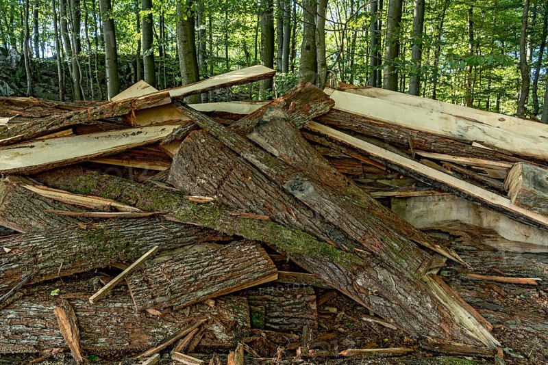 Pile of tree bark, bark, wood from cutting of wooden boards, waste, remains from sawmill, beech forest, summit of Hoherodskopf mountain, Schotten, Vogelsberg Volcanic Region nature park Park, Hesse, Germany, Europe