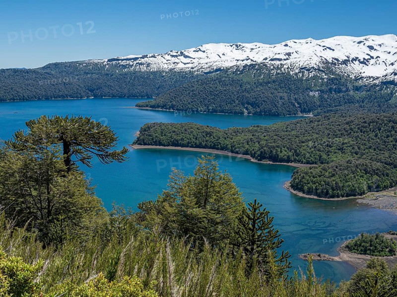 View from hiking trail Sierra Nevada, lake Conguillio, araucaria forest, Conguillio National Park, Chile, South America