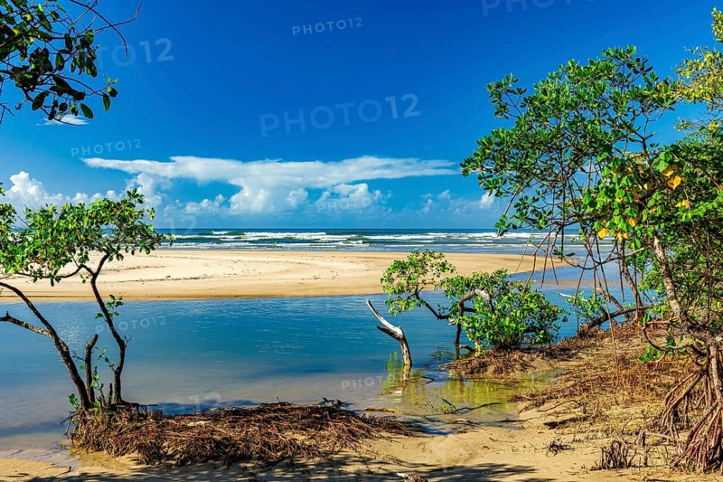 Meeting between the mangrove, river and sea at Sargi beach in Serra Grande on the south coast of Bahia, Sargi beach, Serra Grande, Bahia, Brazil, South America