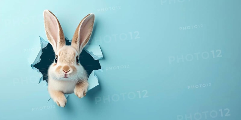 Easter bunny jumps out of hole greeting card with text free space Copyspace banner generated in Stuttgart, Germany, KI, AI generated, Europe
