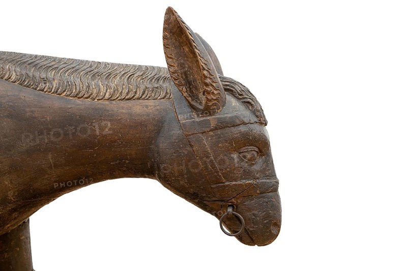 Head of the donkey, detail of the palm donkey, around 1500, on a white background, Zeppelin Museum, Friedrichshafen, Baden-Württemberg, Germany, Europe
