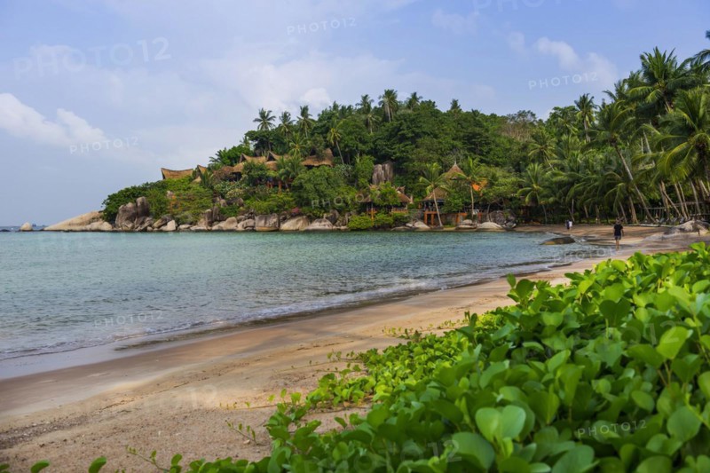 Sairee beach, beach, island, holiday island, tropical, tropics, holiday paradise, landscape, bathing holiday, bathing beach, dream holiday, exotic, nobody, empty, coastal landscape, Asian, sight, beautiful, natural, paradise, seascape, summer, nice weather, climate, nature, coastline, ocean, sea, sea beach, Koh Tao, Thailand, Asia