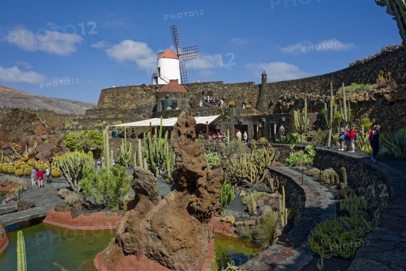 Cactus garden, Jardin de Cactus, designed by the artist César Manrique, behind the restored gofio mill, Lanzarote, Canary Islands, Canary Islands, Spain, Europe