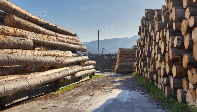 Forestry, timber industry, logs stacked in a sawmill, AI generated, AI generated