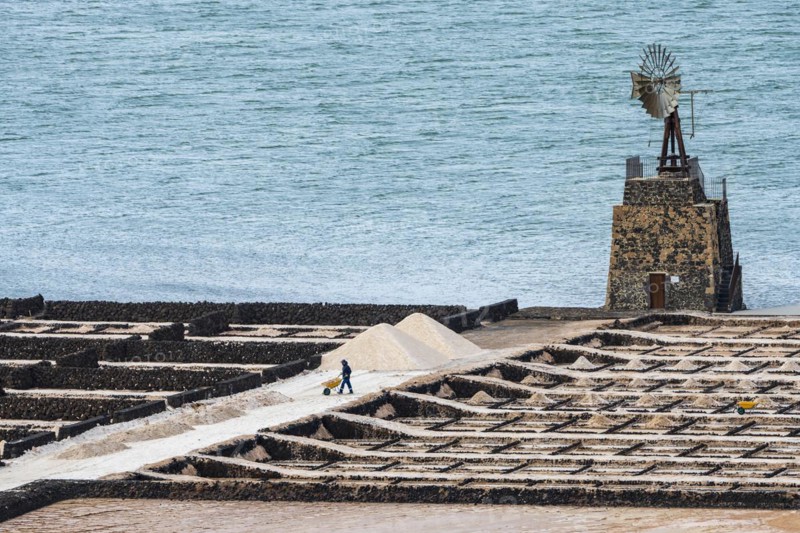 Sea salt extraction, Janubio salt works, Salinas de Janubio, Lanzarote, Canary Islands, Spain, Europe